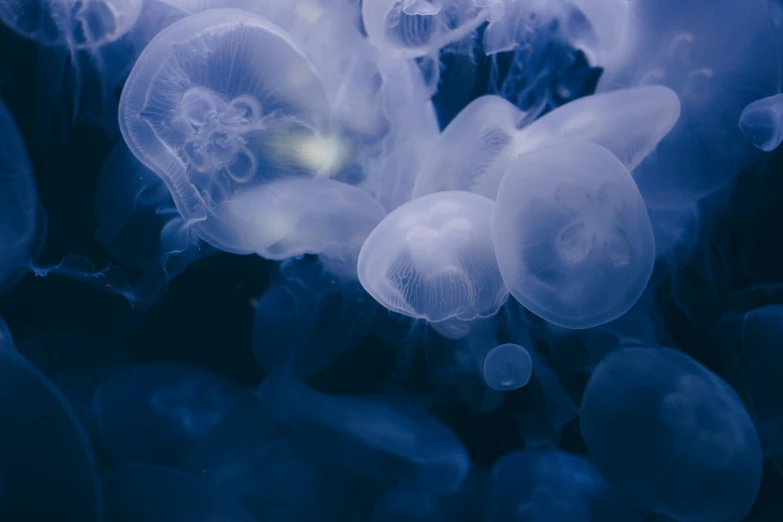 the sea is covered with white bubbles at night