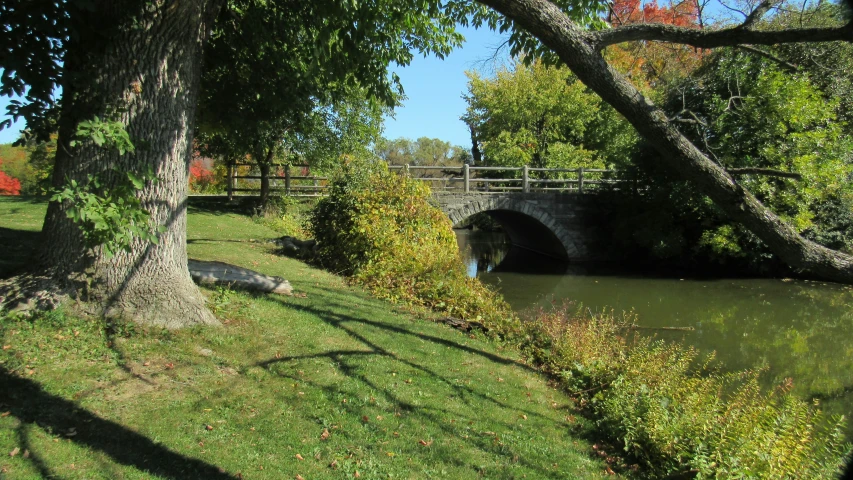 trees and grass along a waterway and bridge