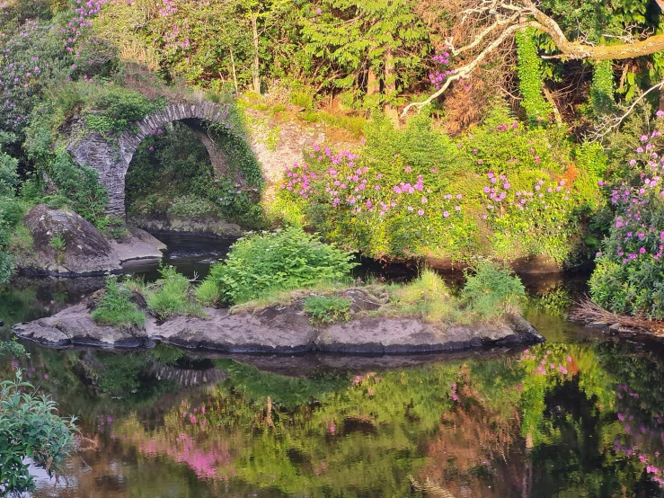 a body of water with rocks on it next to grass and plants