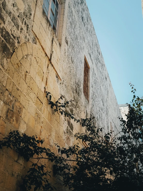 a stone building with a window and trees growing near by