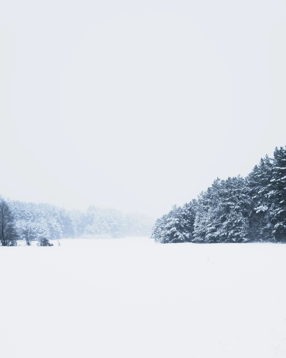 a field is covered with snow during the winter