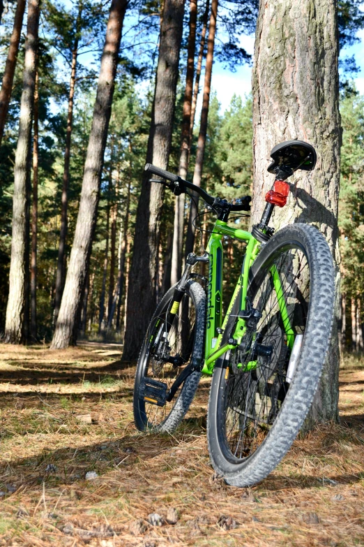a green bicycle sitting against a tree in the woods