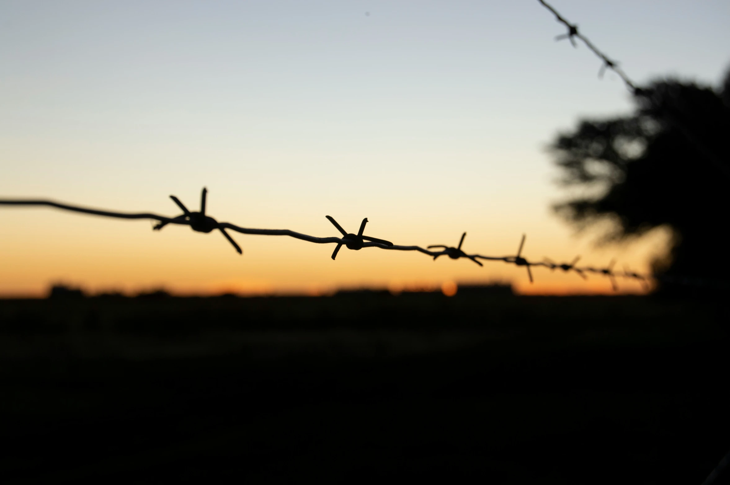 some kind of barbed wire that is hanging from a fence