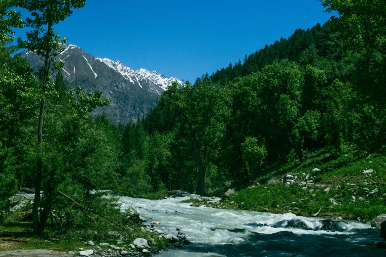 a stream surrounded by tall trees with snow covered mountains in the background