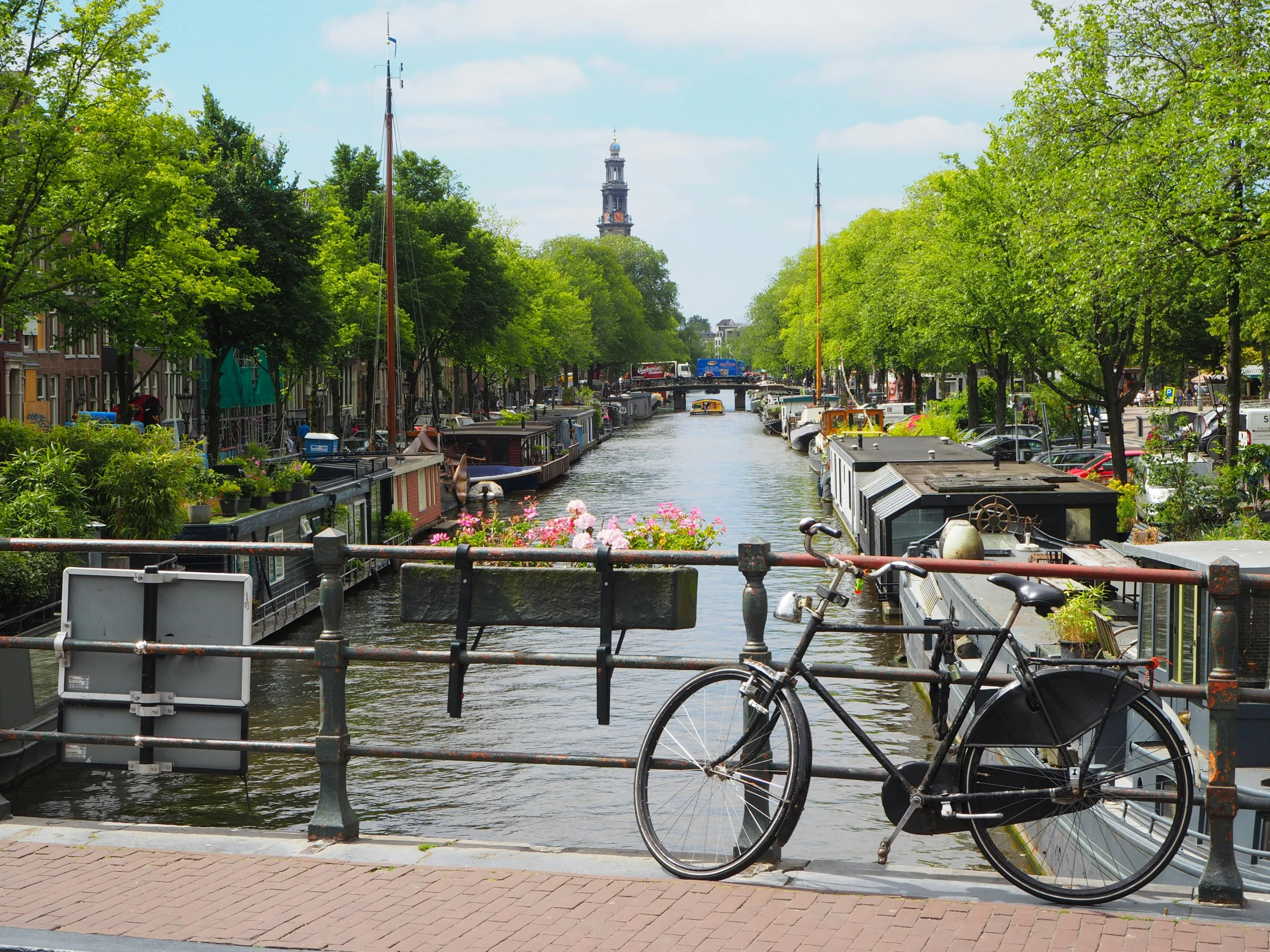 a bicycle parked on a metal bridge overlooking some flowers and waterway