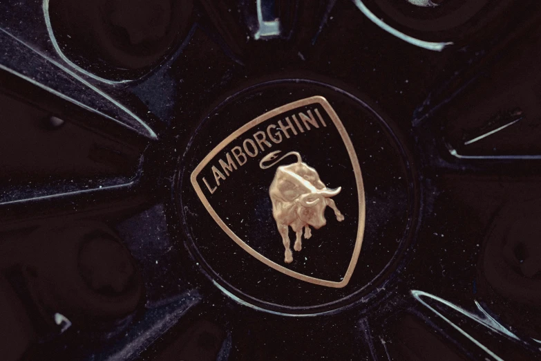 a closeup of the emblem on a lamb car wheel