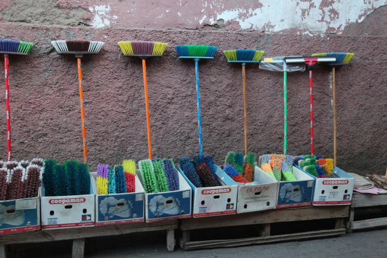 assortment of brushes and cleaning products for sale in front of wall