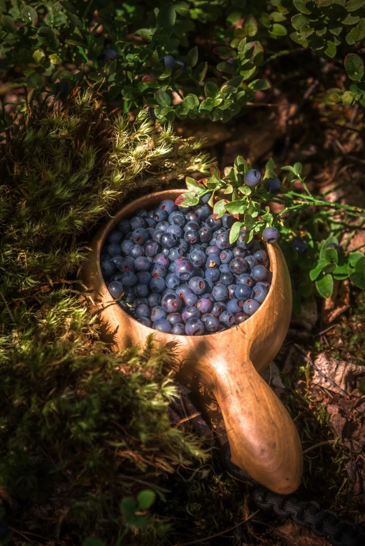 a wooden bowl filled with blueberries on a nch