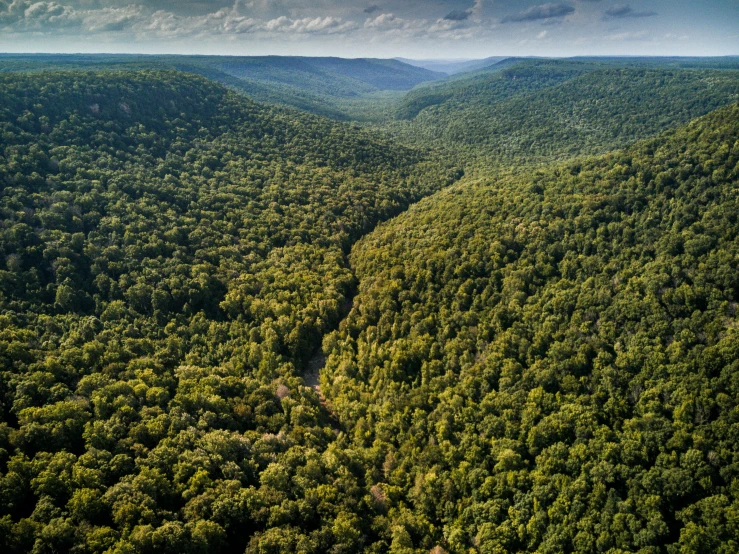 a river meanders through the dense mountains