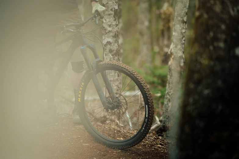 a bike in the woods riding past some trees