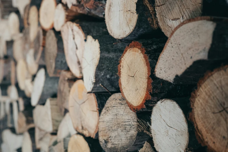 a wood log filled with lots of cut logs