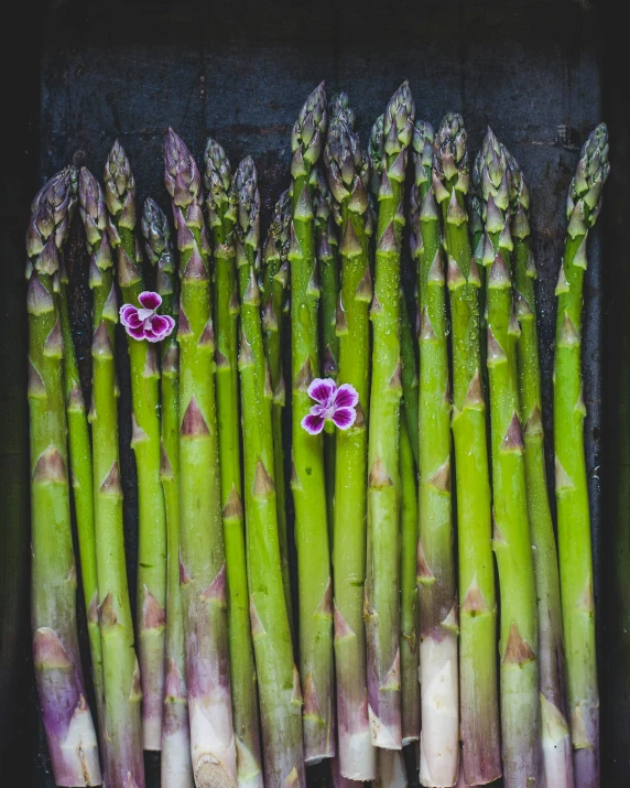 there is a bunch of asparagus with pink flowers on it