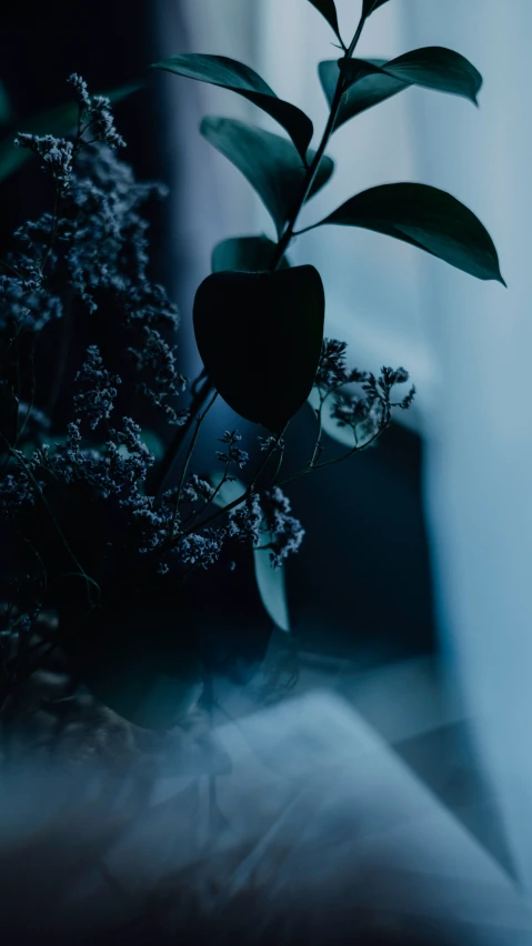 a vase holding flowers sits in a dimly lit room