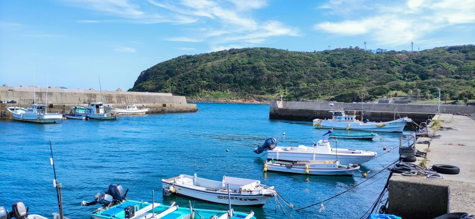 several boats in the water at a dock