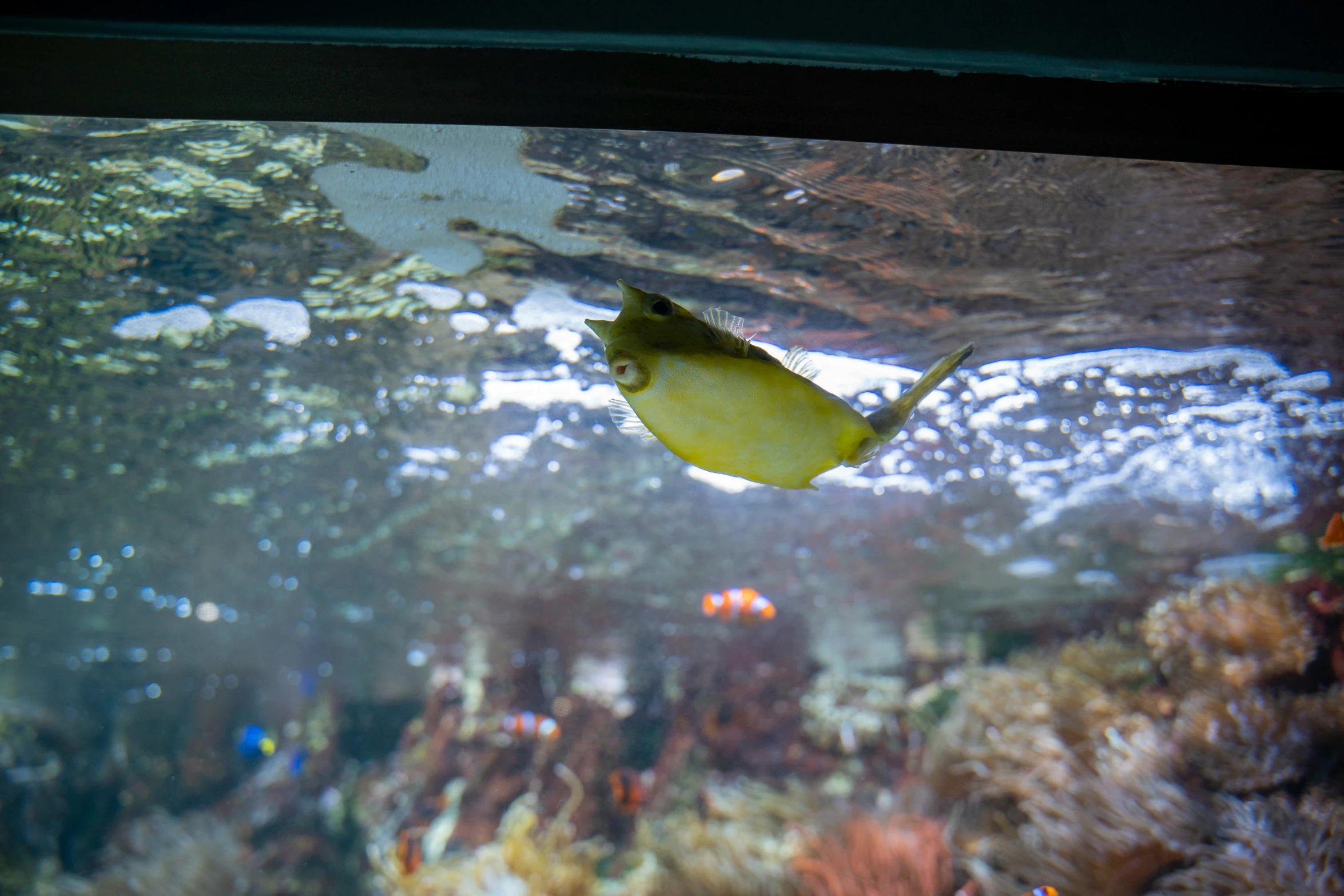 an image of an underwater scene that looks very nice