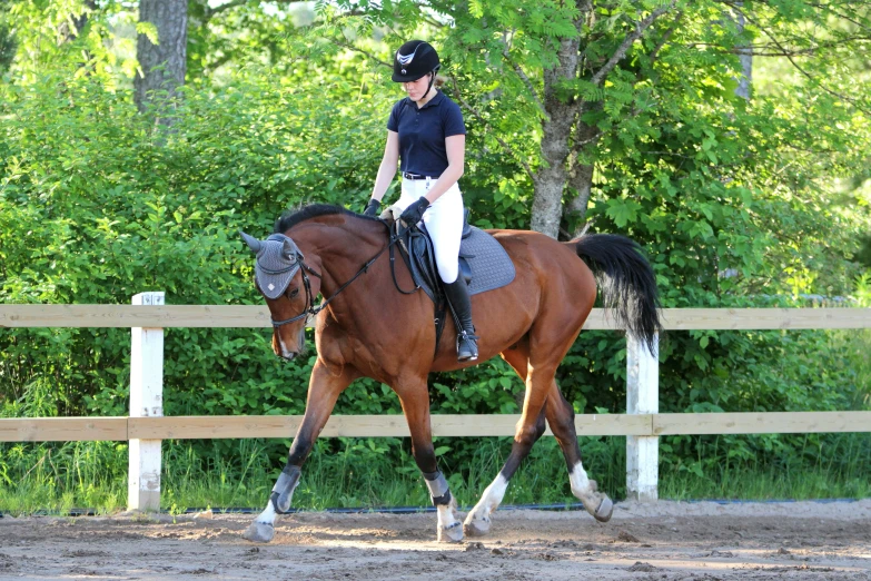 a woman riding on the back of a brown horse through a forest