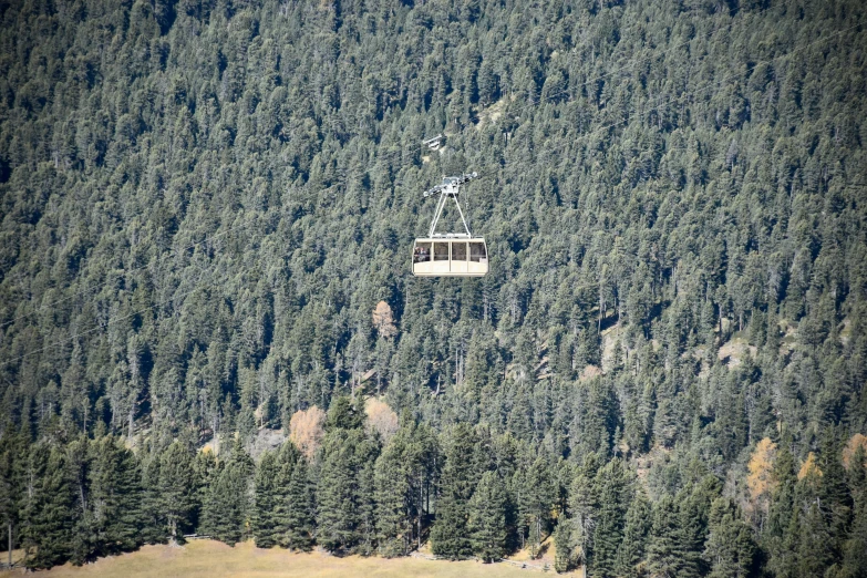 aerial view of cable car hanging above evergreen forest