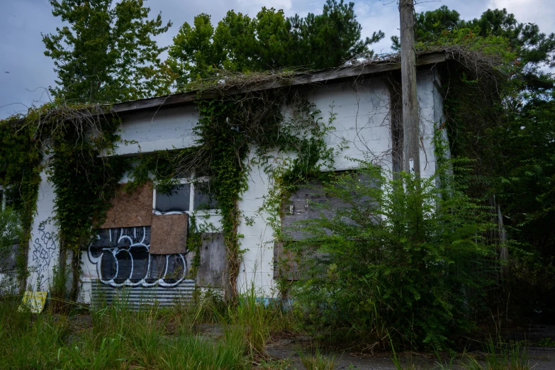 the house is old and overgrown in the weeds