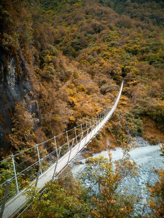 a long suspension bridge over a river in the middle of trees