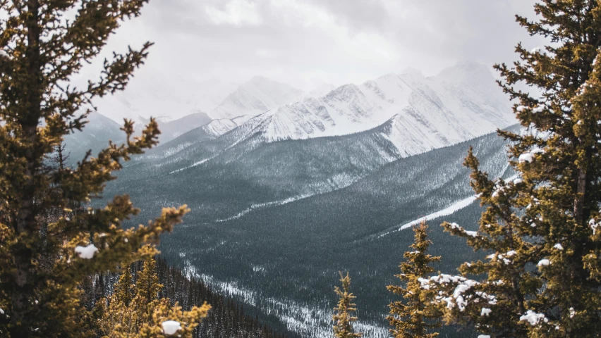 view of trees, mountains and snow with cloudy skies