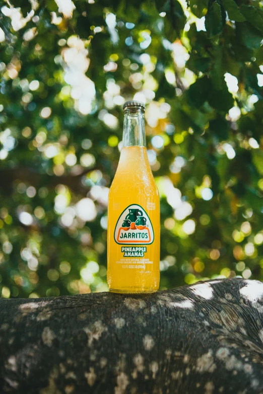 a bottle of fruit juice sitting on the side of a rock