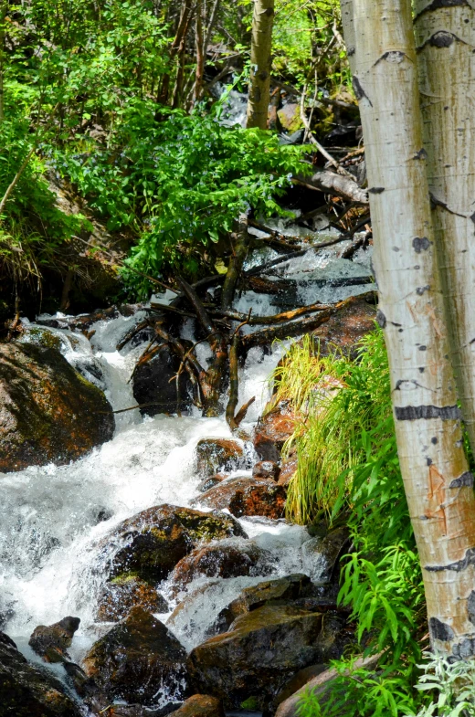 water running down the rocks in the woods