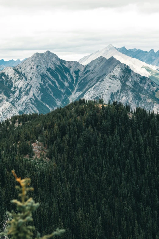 a forested area on top of a hill