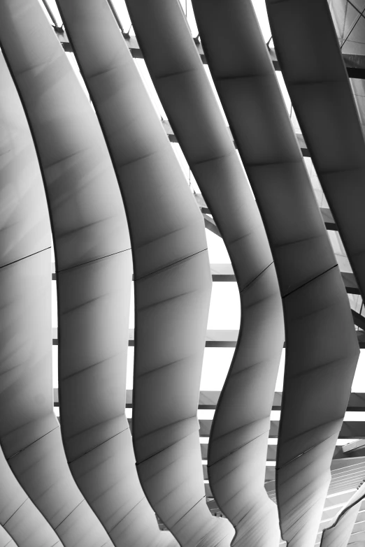 a black and white po of large windows in a building