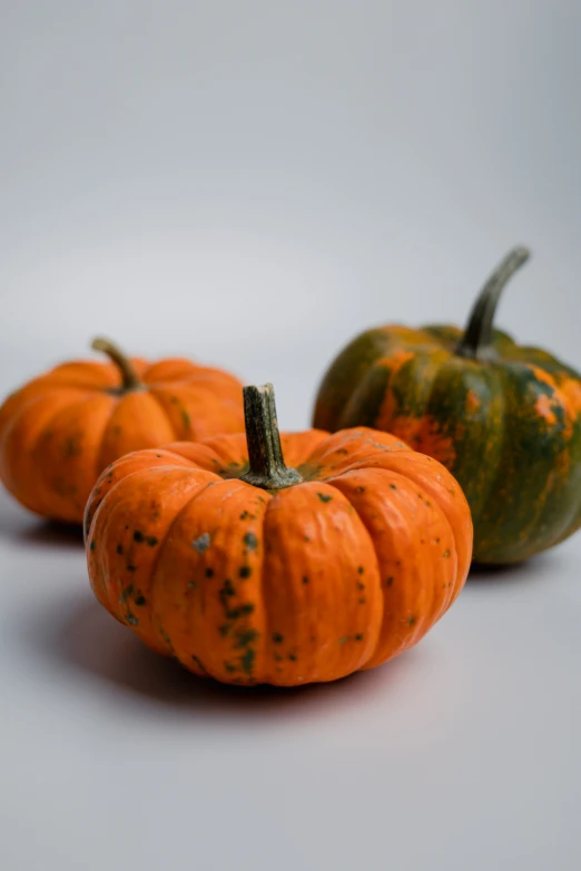 four miniature pumpkins with sprinkles on them