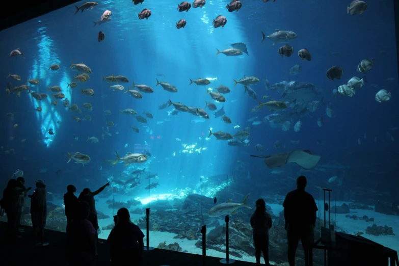 many people standing on a bridge looking at the aquarium