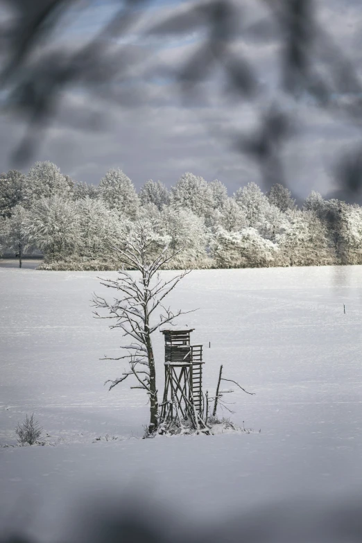 the snow covered field has a wooden structure with two trees in the foreground