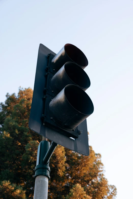 a traffic light hanging from the side of a wooden pole