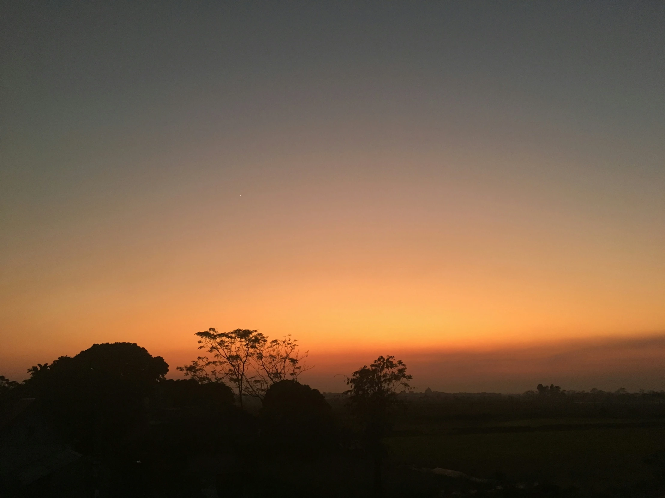 the sun setting in front of trees in a grassy area