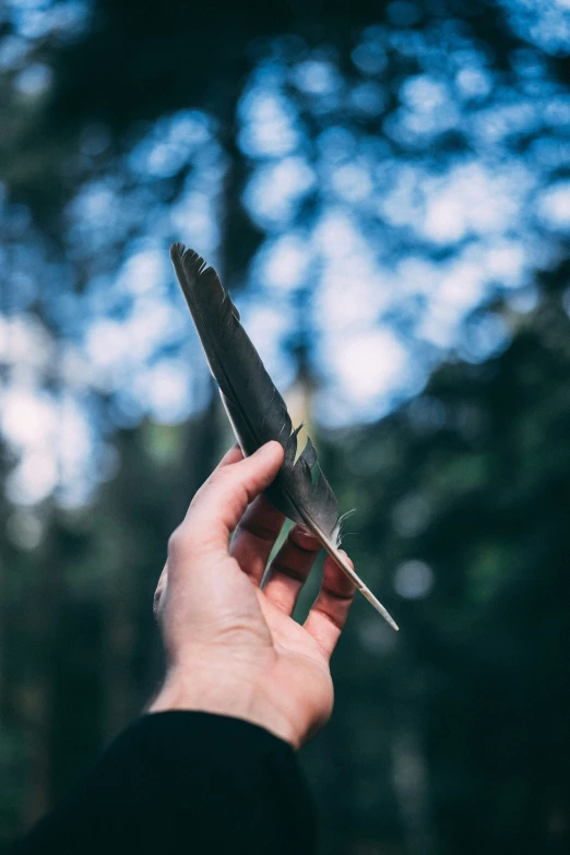 a bird sitting on top of someone's hand with its tail up