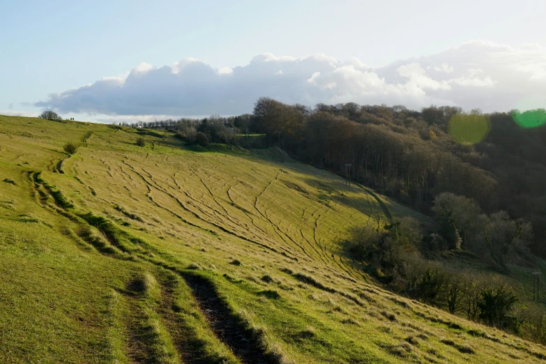 a grass hill with trees and sky in the background