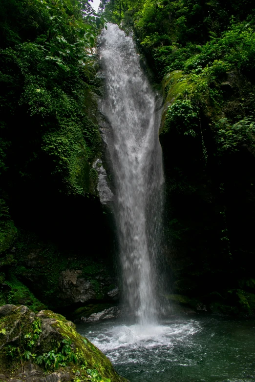 the large waterfall in the jungle has many trees around it