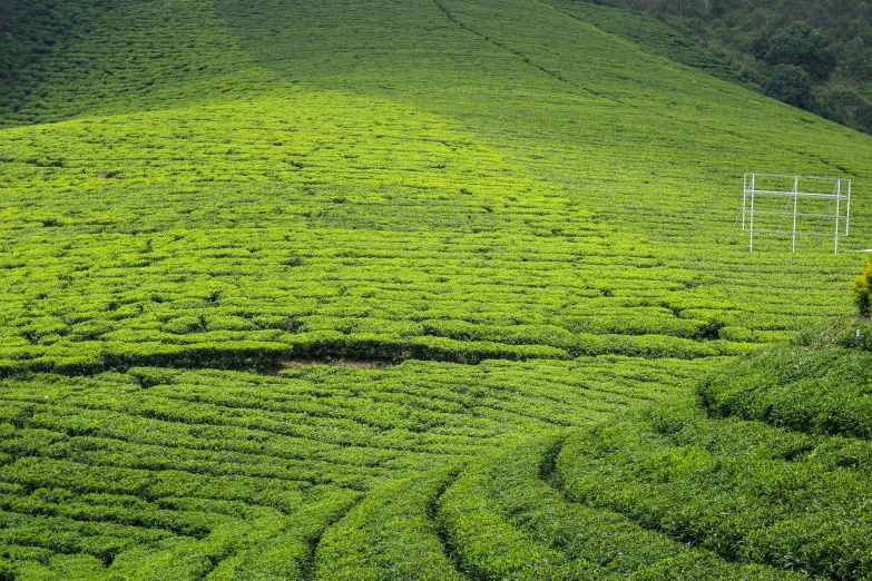 the top of a green hill with grass growing below it