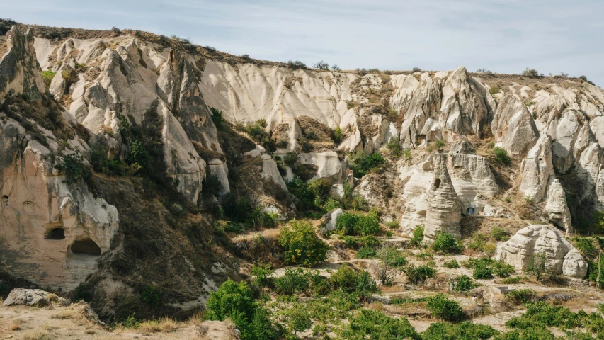 many rocks with trees growing in between them