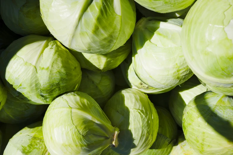 a close up image of cabbage and leaves