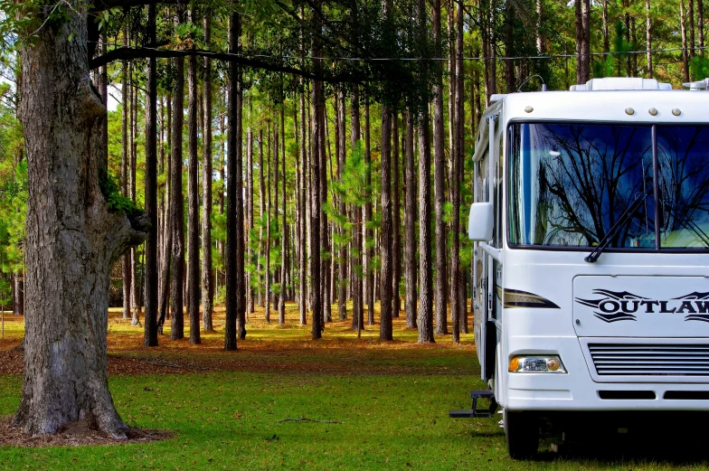 white truck parked beside a grove of trees