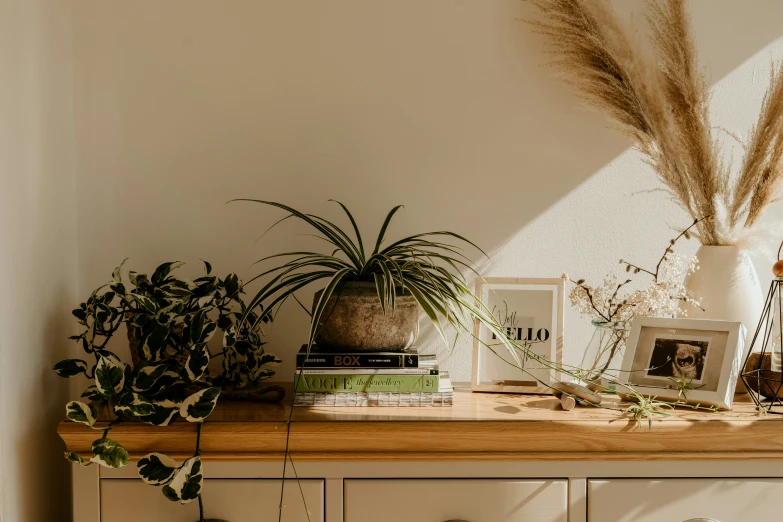 a table top with various plants and other home decor