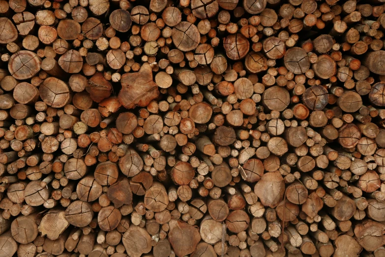 many logs in the ground are piled on each other