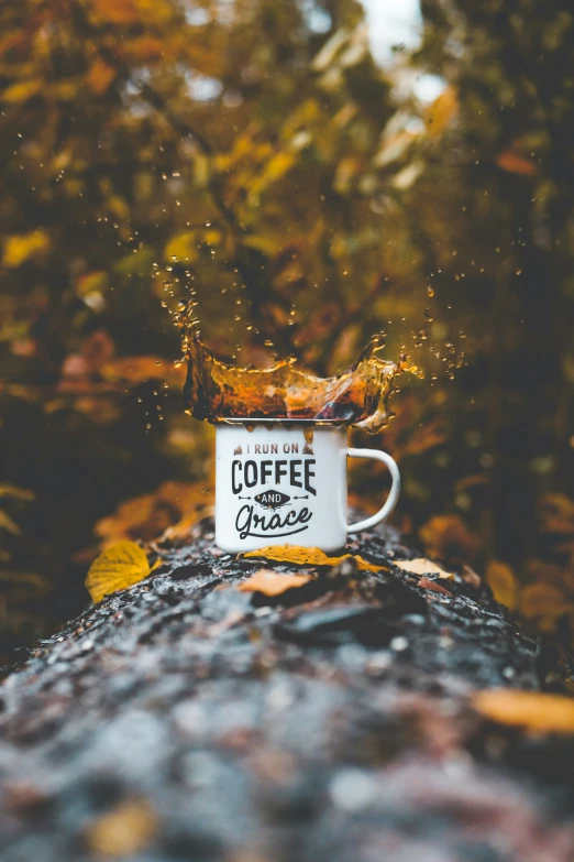 coffee mug floating on a tree trunk during autumn