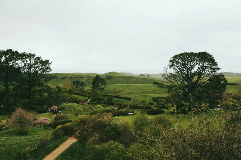 an open green countryside with several trees and animals