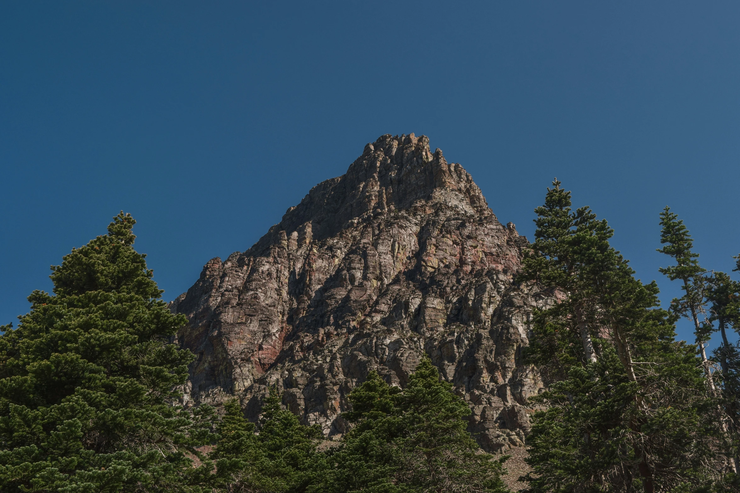 a view of the top of a mountain from a wooded area