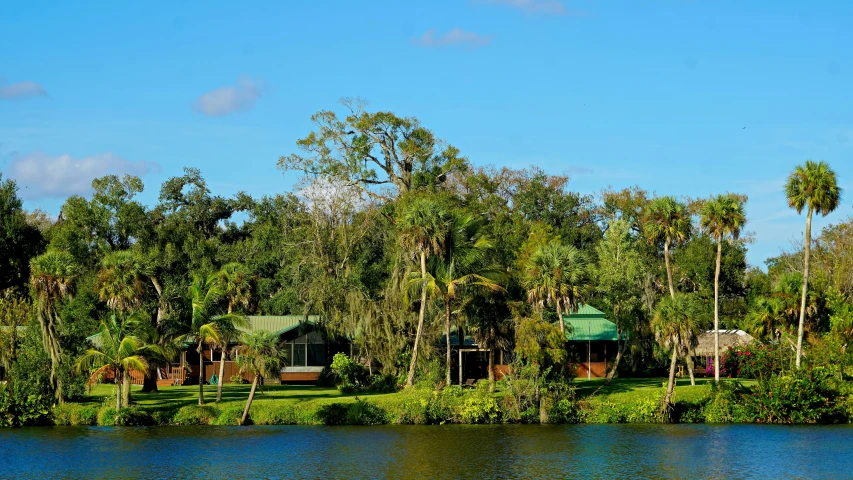 some trees are along the water and some bushes