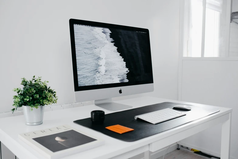 an office workspace with a computer, a plant and a window