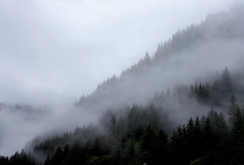 a very tall mountain with some trees on it