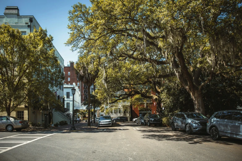 a city street lined with trees and parked cars