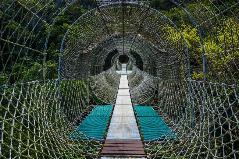 the inside view of an obstacle course at a forest park